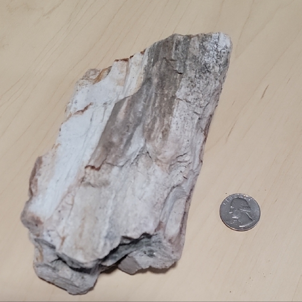 Natural Driftwood-Colored Decorative Wood Chunk
